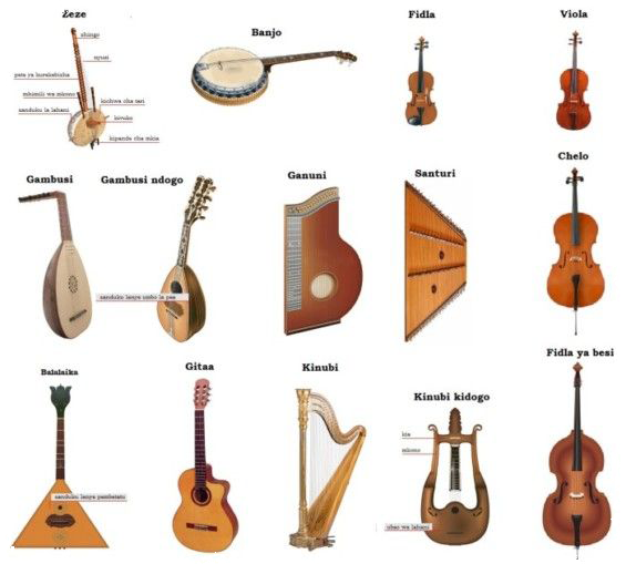 Other String Instruments